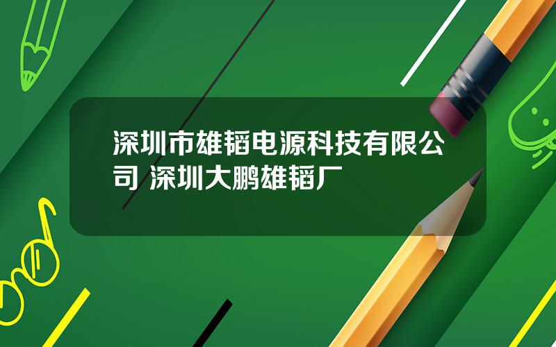 深圳市雄韬电源科技有限公司 深圳大鹏雄韬厂